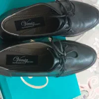 کفش مجلسی و پوتین|کیف، کفش، کمربند|پرند, فاز ۶|دیوار