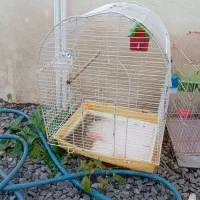 قفس پرنده|لوازم جانبی حیوانات|چمستان, |دیوار