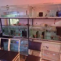 ست ماهی آکواریوم به قیمت مفت