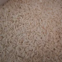 برنج هاشمی