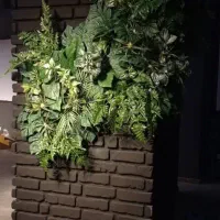 گرین وال|گل مصنوعی|تهران, نارمک|دیوار