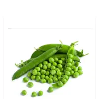 فروش بذر نخود سبز ، نخود فرنگی 19 کیلو