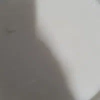 روغن حیوانی بشرط تست