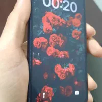 iphone 12 mini|موبایل|اصفهان, درب کوشک|دیوار