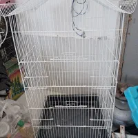 قفس بزرگ معاوضه با عروس هلندی