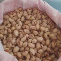 پسته کله قوچی