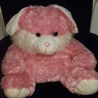 عروسک صورتی