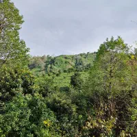 اجاره ویلا