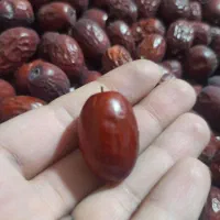 عناب ارگانیک، درشت، امسالی|خوردنی و آشامیدنی|تربت جام, شهرک آزادگان|دیوار