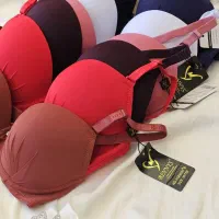 سوتین اسفنجی|لباس|لاهیجان, شیشه گران|دیوار