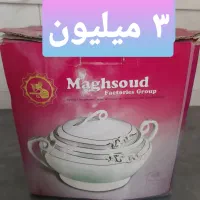 سرو غذا خوری