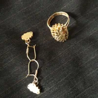 انگشتر وگوشواره