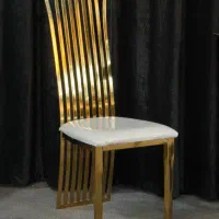 صندلی تالاری یونانی/آبکاریpvd/چرم درجه یک