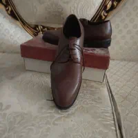 کفش شیفراصل باکدنو جعبه