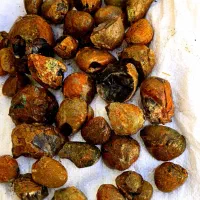 ۲۰۰کیلو جاسبر حراجی