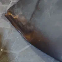 کاپوت و گلگیر پژو پارس|قطعات یدکی و لوازم جانبی|اسلام‌شهر, شهرک واوان|دیوار