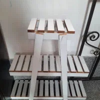 شلف گل سالم درحد نو