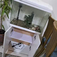 آکواریوم|ماهی|فردیس, شهرک راه آهن|دیوار