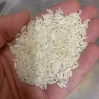 برنج هاشمی اعلا|خوردنی و آشامیدنی|لاهیجان, حزین|دیوار