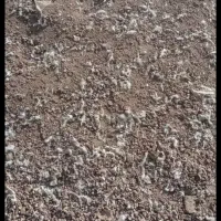 کود مرغی فرغونی 350 تومان