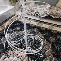 جا گلدانی درحد|گل و گیاه طبیعی|نظرآباد, نظرآباد|دیوار