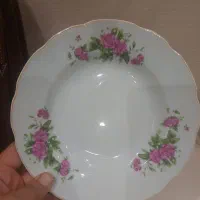 بشقاب چینی خورشت خوری گل سرخی|ظروف سرو و پذیرایی|شیراز, تلخ داش|دیوار