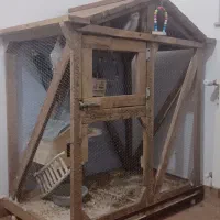 قفس پرنده