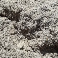 کاه نیشکر|لوازم جانبی حیوانات|ارومیه, |دیوار