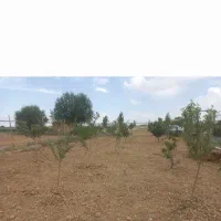 تیلر|خدمات باغبانی و درختکاری|اراک, |دیوار