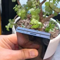 Samsung Z Fold6 256GB 12GB|موبایل|رشت, منظریه|دیوار