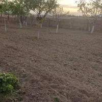 شخم باغات و گلخانه با دو دستگاه تیلر دیزلی ۱۲ اسب|خدمات باغبانی و درختکاری|کرمانشاه, |دیوار