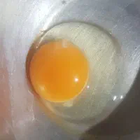 فروش تخم مرغ محلی