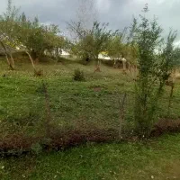 ۵۰۰متر زمین مسکونی/پلاک اول جنگل|فروش زمین و ملک کلنگی|رضوانشهر, |دیوار