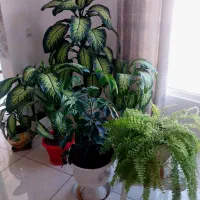 حراج وسایل|حراج|سنندج, |دیوار