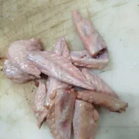 سربال مرغ