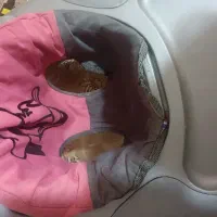 روروئک|اسباب و اثاث بچه|شیروان (خراسان), |دیوار