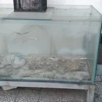 اکواریوم بزرگ ماهی