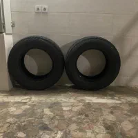 یک جفت لاستیک کلوت