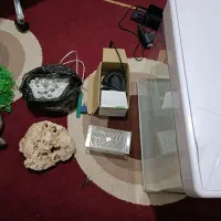 آکواریوم|ماهی|سنندج, |دیوار