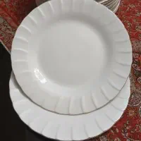 بشقاب سفید غذاخوری دور طلایی چینی زرین