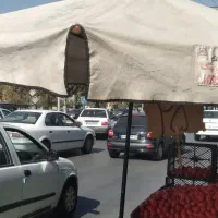چتر سایبان