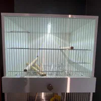 قفس اروپایی ۳ طبقه|لوازم جانبی حیوانات|شیراز, شهرک گلستان|دیوار