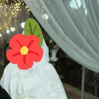 لباس عروس|لباس|کاشان, ولیعصر|دیوار