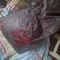 بلکا رنگ مشکی