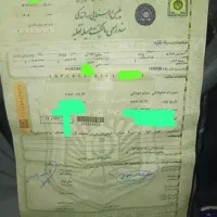 گم شدن برگ سبز ماشین