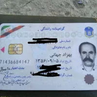 راننده گی باتریلی خارج از کشور