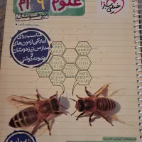 کتابکار|لوازم التحریر|شیروان (خراسان), |دیوار