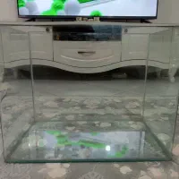 آکواریوم