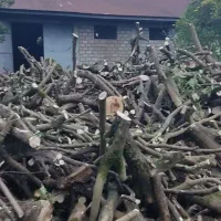 خریدار چوب باغی .کاتین صنوبر. چوب پرتقال.ساختمانی|خدمات باغبانی و درختکاری|تنکابن, |دیوار