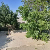 فروش-فوری